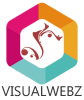 Visualwebz, LLC 