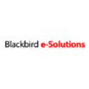 Blackbird e-Solutions LLC 
