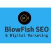BlowFish SEO 