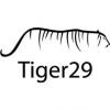 Tiger29 