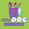 Little Dog Social Media  