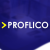 Proflico Digital Marketing 