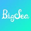 Big Sea 