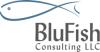 BluFish Consulting 