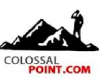 Colossal Point LLC 