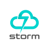 Storm Group Inc 