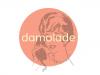 damolade consulting 