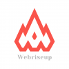 Webriseup 