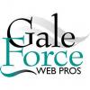 Gale Force Web Pros 