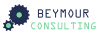 Beymour Consulting 