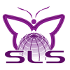 SLS Consulting 