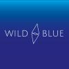 Wild Blue Digital 